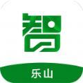 智游乐山app官方版软件