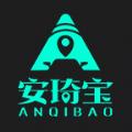 安琦宝智能汽车工具app手机版下载