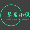 琴岩小说app安卓版下载
