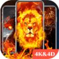  4D Wallpaper app
