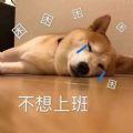 天气太冷了我不想上班表情包图片免费下载