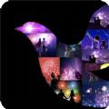  名鹊Club App
