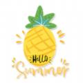 菠萝兼职app最新软件下载