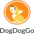 dogdoggo搜索工具APP手机版下载