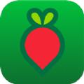 叮咚买菜助手神器客户端app下载