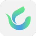 绿茶交友app下载手机版