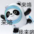 想要微信冰墩墩表情包熊猫头铁憨憨高清动图全套免费下载