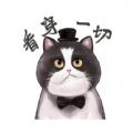 肥猫影视大全免费官网版