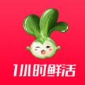  淘菜猫APP