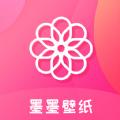  墨墨壁纸app