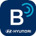 blueLink app苹果系统官方最新升级下载
