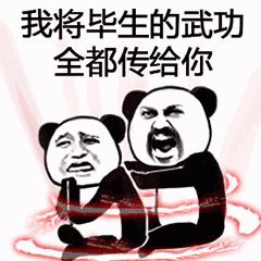 抖音过两招功夫表情包图片图片5