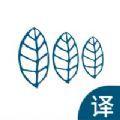 Healoonow翻译端app官方版下载  1.0.0