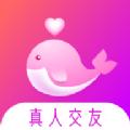 聊会交友app安卓最新版