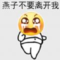 燕子没有你我怎么活啊表情包gif动态图高清无水印免费下载