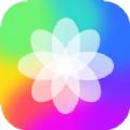 动动壁纸资源库app手机吧下载