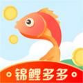  锦鲤多多免费领皮肤