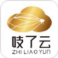  吱了云app