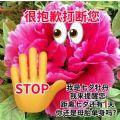 2021七夕牡丹表情包图片大全抖音版下载