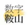数字鞍山本地服务app软件下载