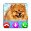 Dog Fake Call来电视频铃声app官方版下载