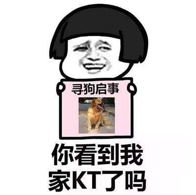 抖音你看到我男女朋友了吗寻人启事表情包图片4