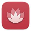  花粉俱乐部app最新版本