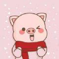 小猪英语学习app手机版