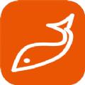 WIFI Fish Finder探鱼器中文下载2022
