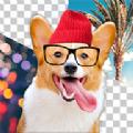 Dog Photo Editor小狗相机app最新版下载