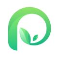 片时音疗app官方版下载