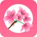  桃缘交友APP