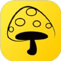  蘑菇钉手机app