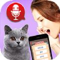 猫猫语言转换器app手机版下载