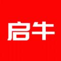  启牛学堂app安卓手机