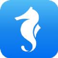 海马汇官方手机版下载app