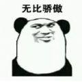抖音无比骄傲冲破天际表情包图片下载