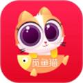  觅鱼猫app