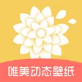 唯美动态壁纸app手机版下载