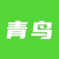  青鸟直聘app