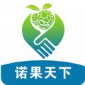诺果天下app官方手机版软件下载