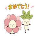  MameHanaLife贴纸app官方版下载  1.0