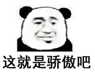 抖音无比骄傲冲破天际表情包图片下载图片1