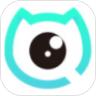 洞察猫app官方手机版下载