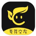  麦芽交友app最新版