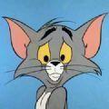  猫和老鼠终极版.hwt