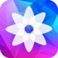 精选壁纸app官方安卓版