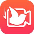 简影app最新版下载安卓版
