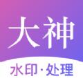  大神水印app