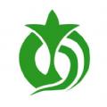  中派网app